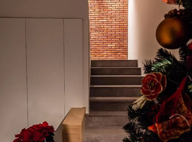 Spazio Corrado 3* 科里利亚诺·卡拉布罗